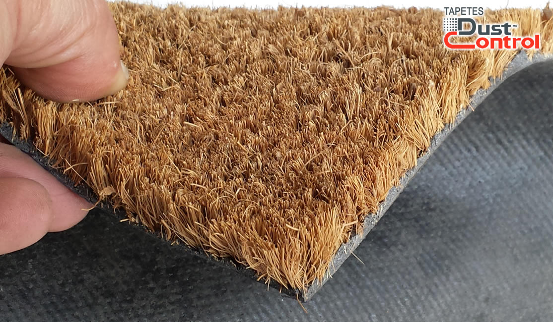 kiwi Escrutinio Costoso Tapete de fibra de coco con base antiderrapante
