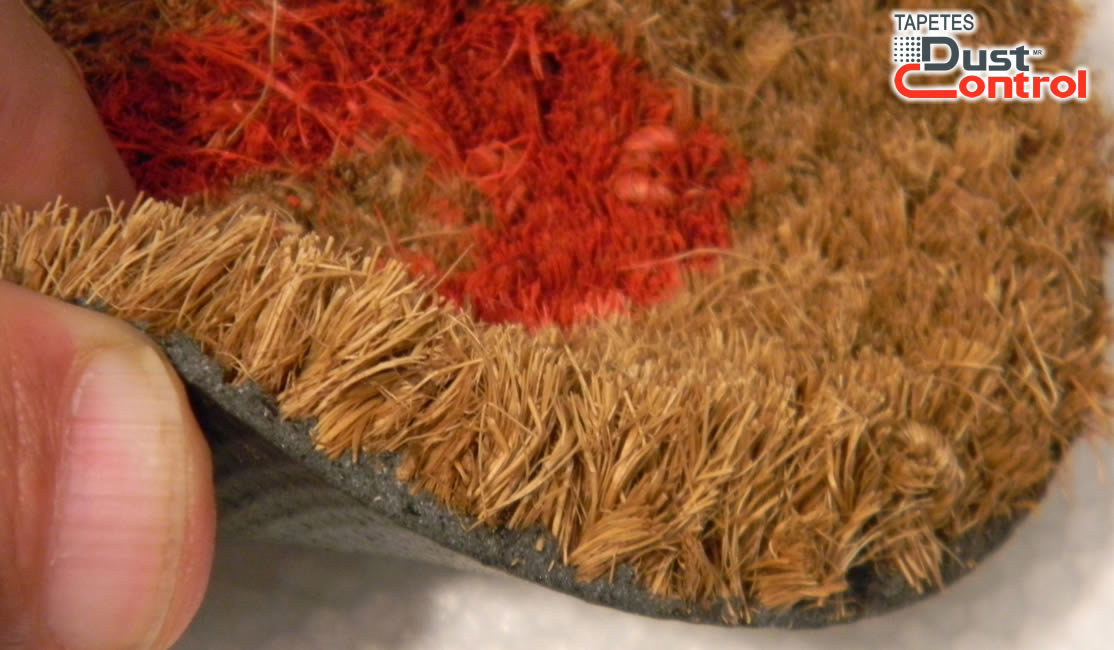kiwi Escrutinio Costoso Tapete de fibra de coco con base antiderrapante